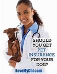 How to Get Pet Insurance for Your Dog
