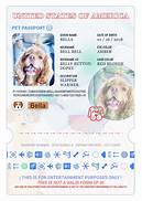 How to Get a Pet Passport for a Dog