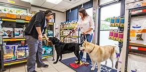 Can You Bring Pets in Hobby Lobby?