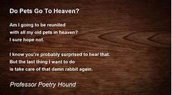 Do Your Pets Go to Heaven?