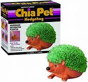 Chia Pets: Tips and Tricks for Successful Cultivation