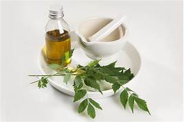 Is Neem Oil Pet Safe?