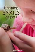 How to Care for a Pet Snail