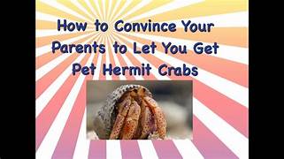 How to Convince Your Parents to Get a Pet