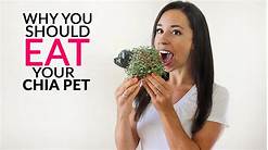Can You Eat a Chia Pet?