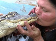 Can You Keep an Alligator as a Pet?