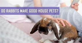 Do Bunnies Make Good House Pets