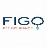 Is Figo Pet Insurance Good? Reddit Reviews and Analysis