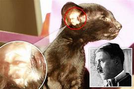 Did Hitler have a Pet?