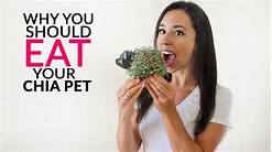 Can You Eat Chia Pet?