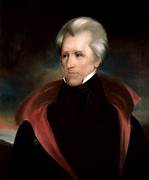Did Andrew Jackson Have Pets?