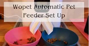 How to Set Up Wopet Automatic Pet Feeder