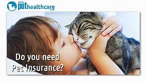 How Much is Pet Medical Insurance?