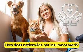 How Does Pet Insurance Work Nationwide?