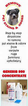 How to Remove Pet Stains From Carpets