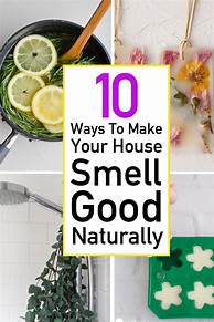 How to Make a House Smell Good with Pets