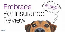 How Does Embrace Pet Insurance Work?