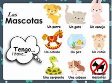 ¿Tienes mascotas? - Guía para dueños de mascotas