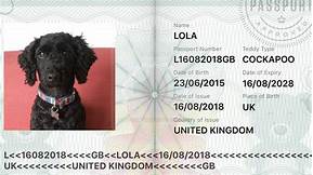 How Much Is It for a Pet Passport?