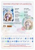 How to Obtain a Pet Passport