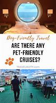 Are There Any Pet Friendly Cruise Ships?