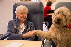 Do Nursing Homes Allow Pets?