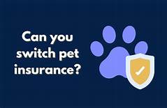 Can You Switch Pet Insurance?