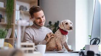 Does Allstate Offer Pet Insurance?