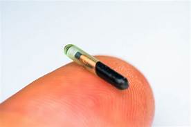 How Does a Pet Microchip Work?