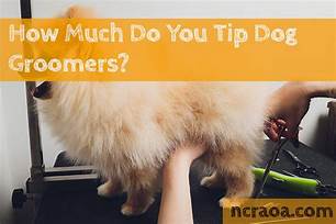 How Much Do You Tip Pet Groomers?