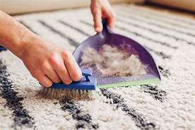 How to Get Pet Hair Off Carpet