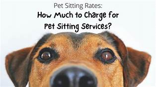 How to Charge for Pet Sitting