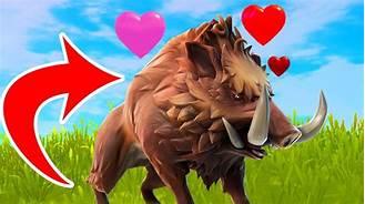 How to Pet a Boar in Fortnite