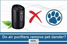 Do Air Purifiers Remove Pet Odor?