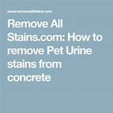 How to Remove Pet Stains From Concrete