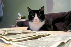 Do You Tip Rover Pet Sitters?