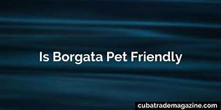 Is Borgata Pet Friendly?