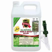 All-Natural Pet-Friendly Weed Killer