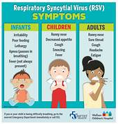 Can Pets Get RSV?