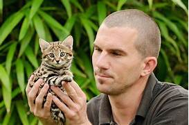 Can You Have a Rusty-Spotted Cat as a Pet?