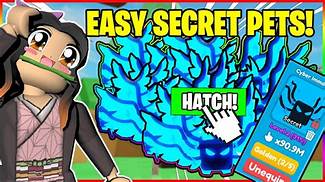 How to Get Secret Pets in Rebirth Champions X