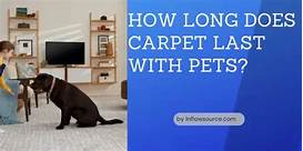 How Long Does Carpet Last With Pets?