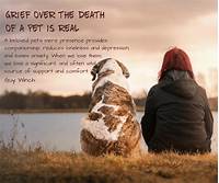 How to Grieve the Loss of a Pet