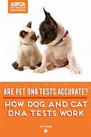 Are Pet DNA Tests Accurate?