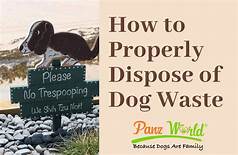How to Dispose of Pet Waste