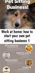 How to Start a Pet Sitting Business at Home