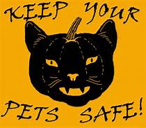 How to Keep Your Pets Safe on Halloween