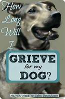 How Long Should You Grieve Your Pet Before Getting Another?