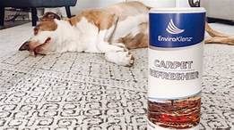 How Do You Remove Pet Urine Smell From Carpet?