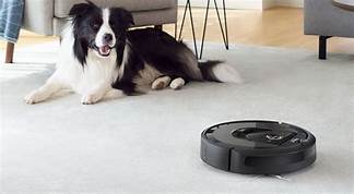 Are Roombas Good for Pet Hair?